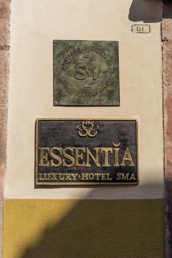 The Essentia Hotel San Miguel San Miguel de Allende Exterior photo